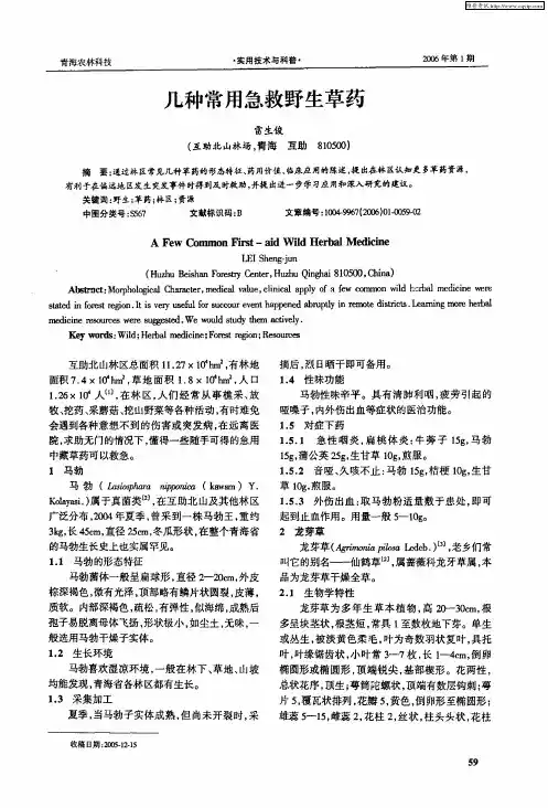 几种常用急救野生草药