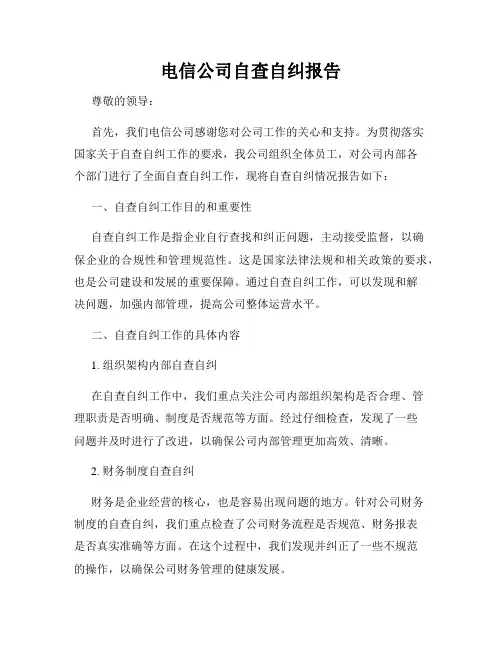 电信公司自查自纠报告
