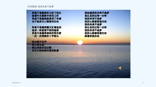 七年级主题班会理想与责任担当放飞梦想