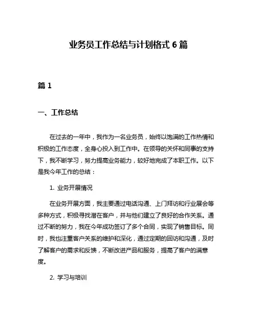 业务员工作总结与计划格式6篇
