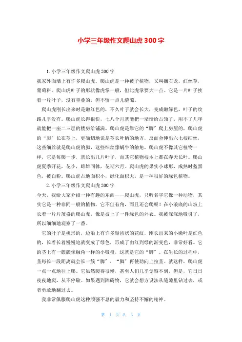 小学三年级作文爬山虎300字