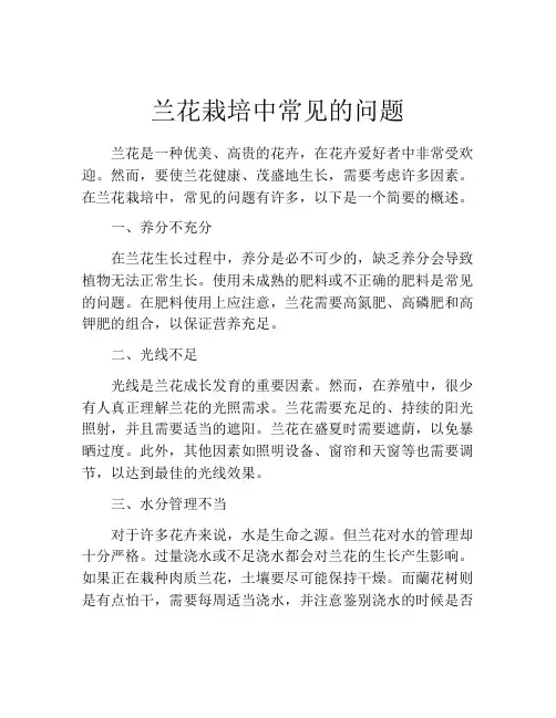 兰花栽培中常见的问题