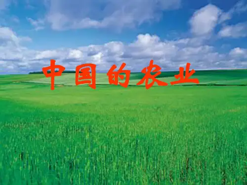 高考地理一轮复习中国的农业PPT课件