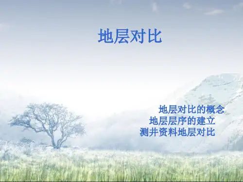 地层对比