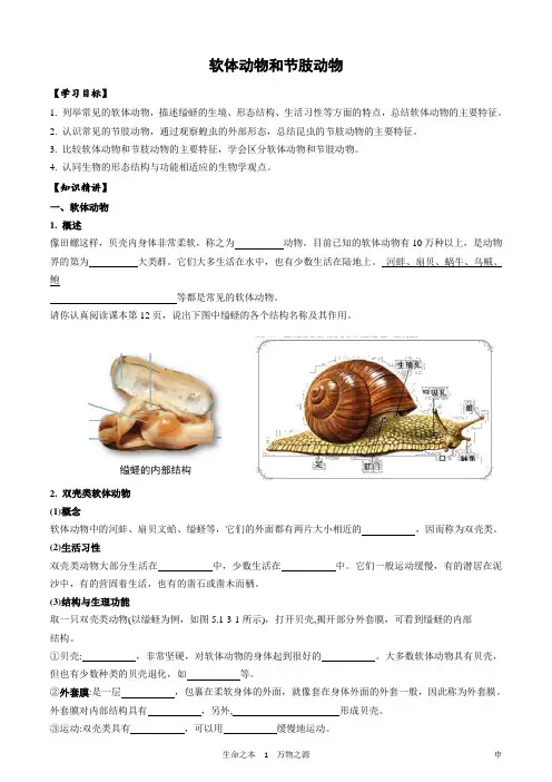 软体动物和节肢动物-初中生物参考资料
