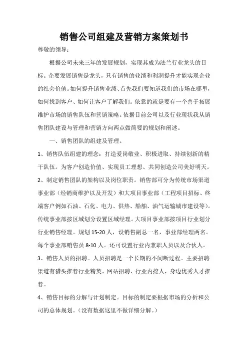 销售公司组建运营及营销方案策划书
