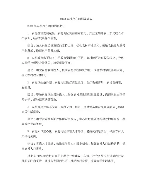 2023农村存在问题及建议