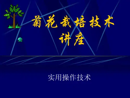 菊花栽培管理技术讲座