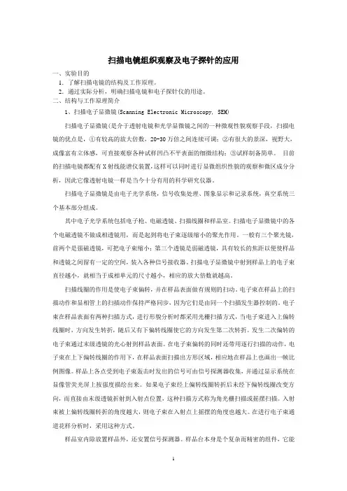 扫描电镜组织观察及电子探针的应用