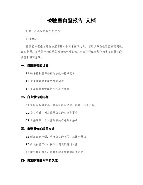 检验室自查报告 文档