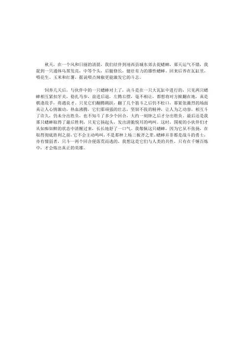 斗蟋蟀