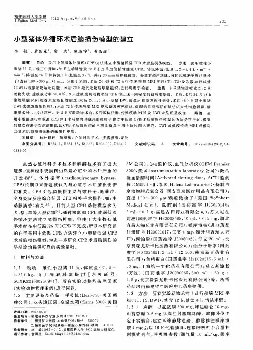 小型猪体外循环术后脑损伤模型的建立