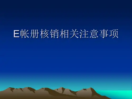 E账册核销注意事项