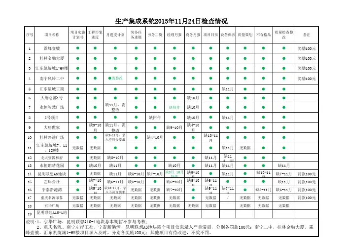 7-20151124生产管理系统检查结果