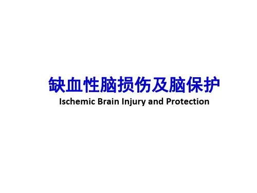 【医院科室学习-神经生物学】_缺血性脑损伤及脑保护