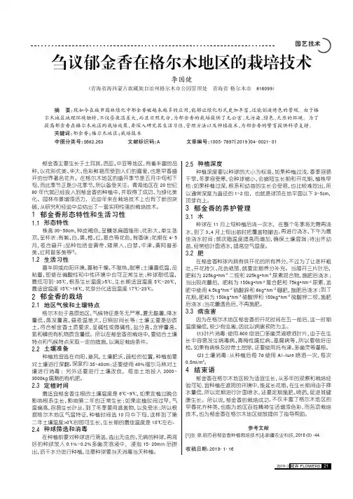 刍议郁金香在格尔木地区的栽培技术