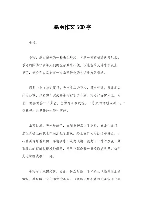 暴雨作文500字