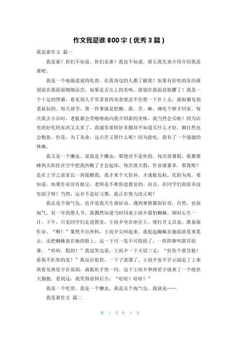 作文我是谁800字(优秀3篇)