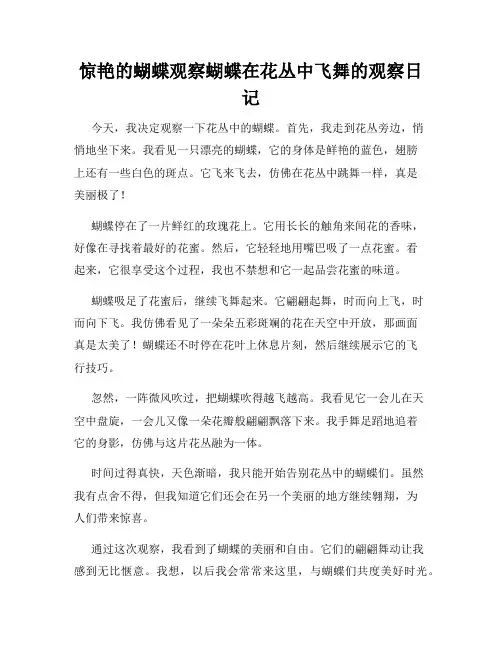 小学三年级作文惊艳的蝴蝶观察蝴蝶在花丛中飞舞的观察日记