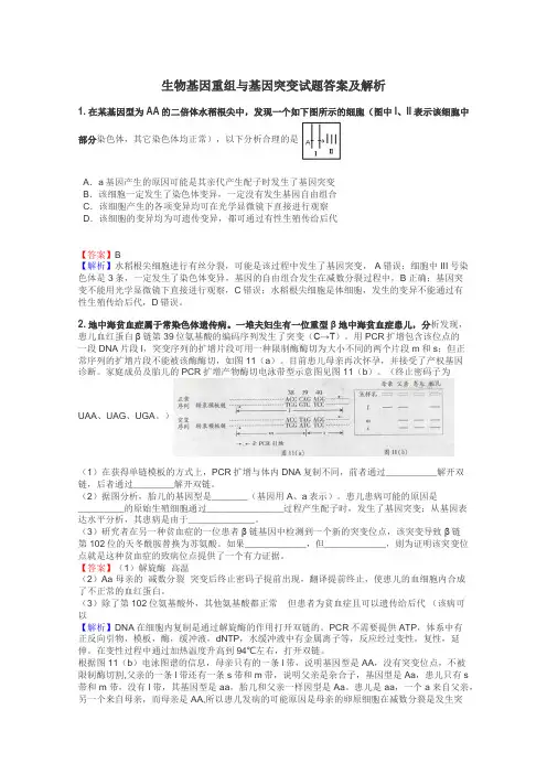 生物基因重组与基因突变试题答案及解析
