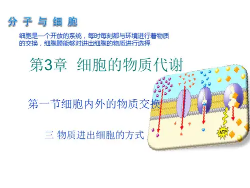 物质进出细胞的方式