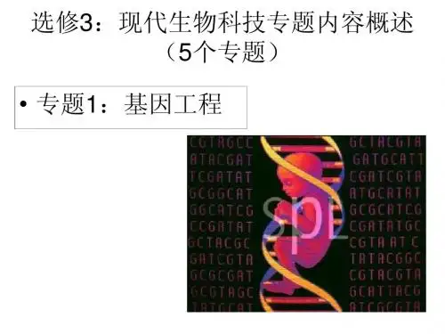 1.1基因工程的工具ppt