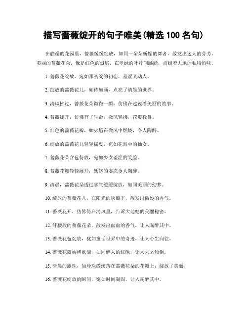 描写蔷薇绽开的句子唯美(精选100句)