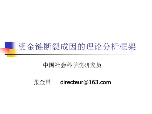 资金链断裂成因的理论分析框架