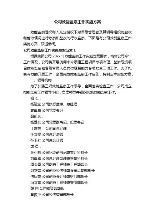 公司效能监察工作实施方案