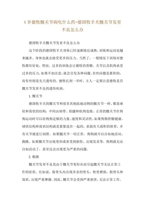 4岁德牧髋关节病吃什么药-德国牧羊犬髋关节发育不良怎么办