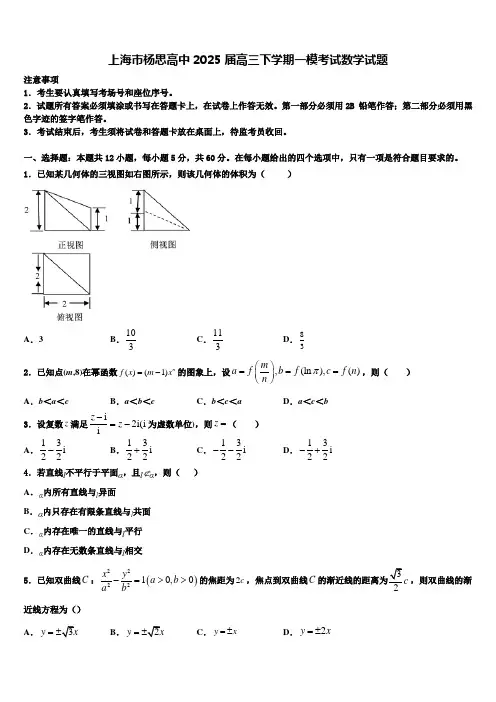 上海市杨思高中2025届高三下学期一模考试数学试题含解析