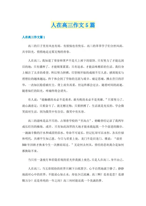 人在高三作文5篇