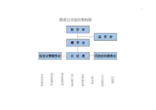 投资集团公司组织架构和运作经过流程