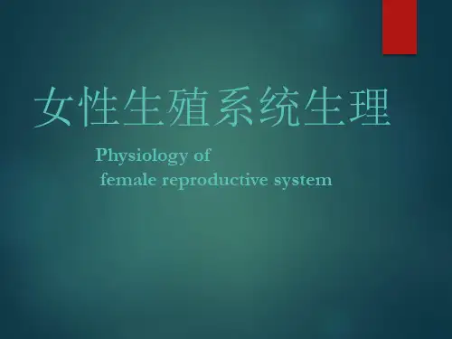 妇产科学-女性生殖系统生理