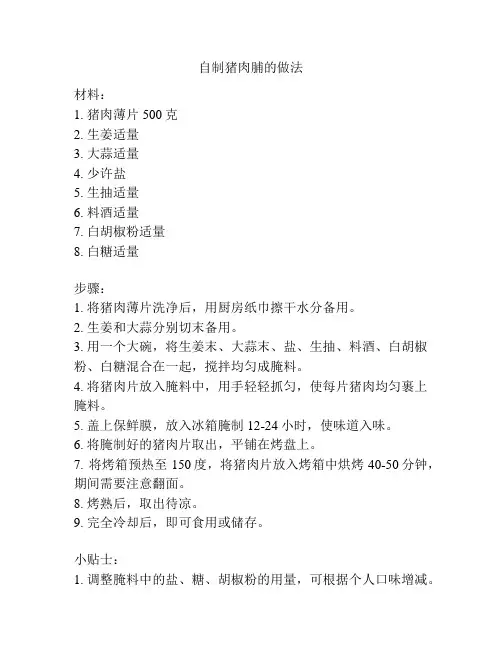 自制猪肉脯的做法