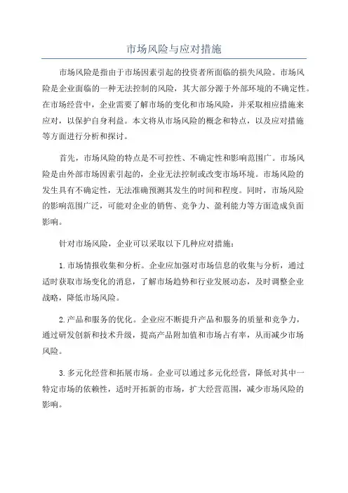 市场风险与应对措施