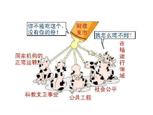 财政学-公共产品与公共支出理论.ppt