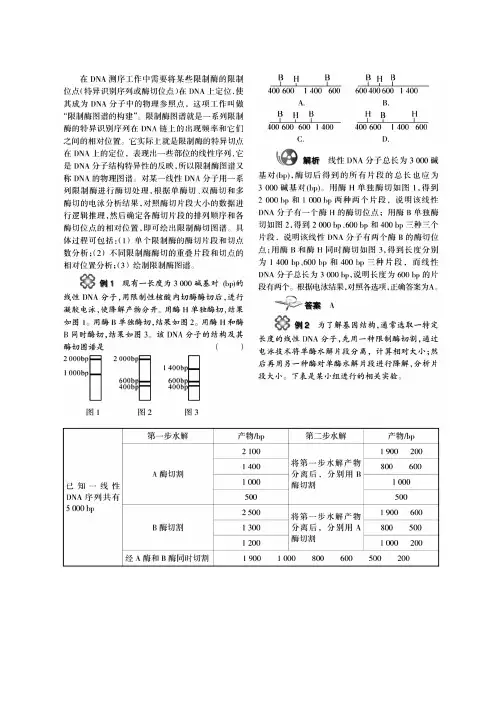 高三生物二轮复习微专题之限制酶切割及电泳的题目