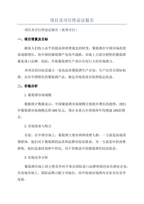 项目及可行性论证报告