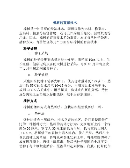 樟树的育苗技术