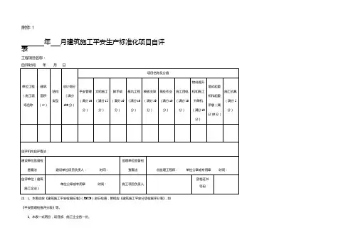 建筑施工安全生产标准化项目自评表