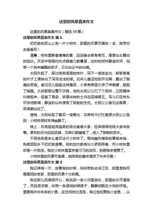 这里的风景真美作文