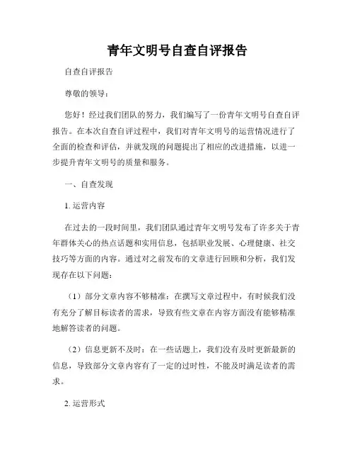 青年文明号自查自评报告