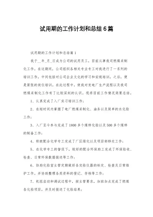 试用期的工作计划和总结6篇