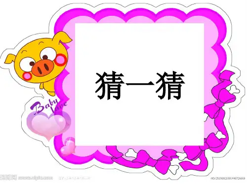 第五单元 给动物制作名片