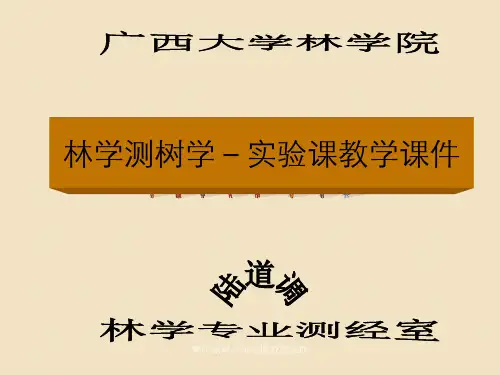 林学测树学实验课教学课件