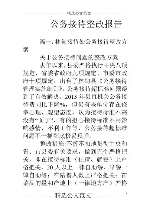 公务接待整改报告