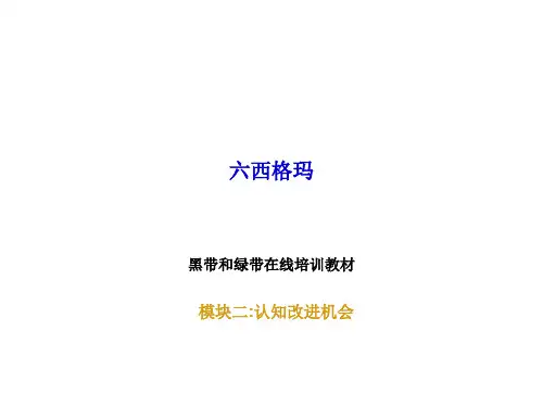 2-六西格玛黄带绿带黑带培训课件2