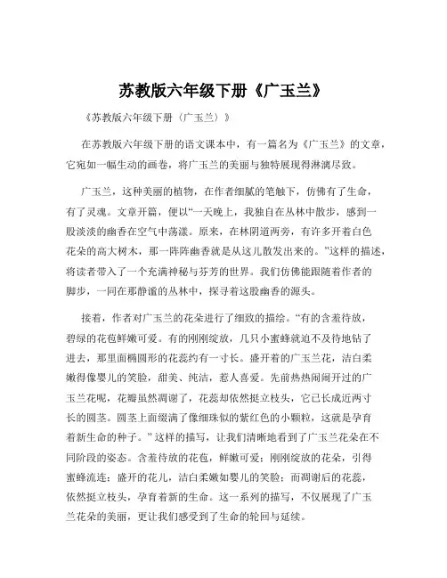 苏教版六年级下册《广玉兰》