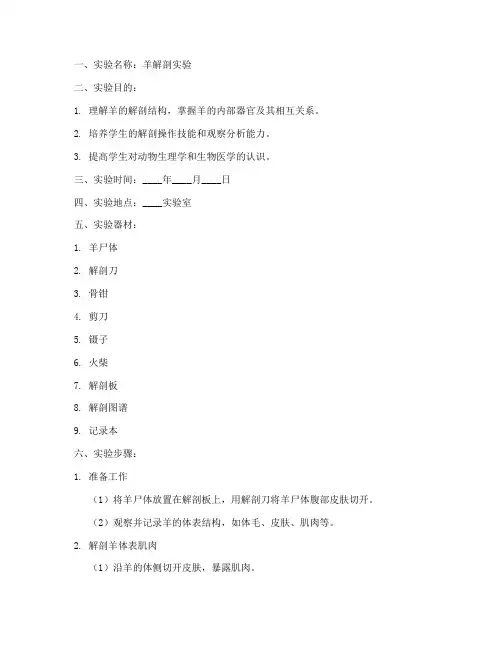 羊解剖实验报告模板